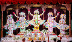 Daily Darshan