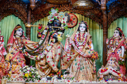 Daily Darshan