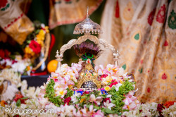 Daily Darshan