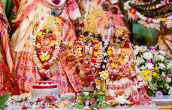 Daily Darshan