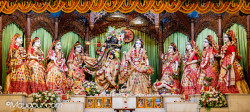 Daily Darshan