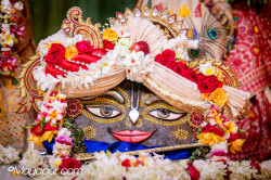 Daily Darshan