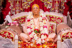 Daily Darshan