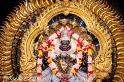 Daily Darshan