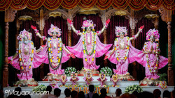 Daily Darshan