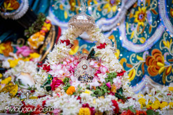 Daily Darshan