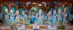 Daily Darshan