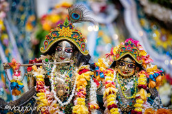 Daily Darshan