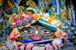 Daily Darshan