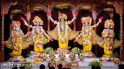 Daily Darshan