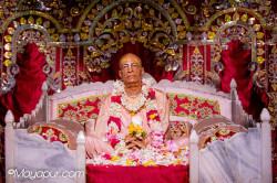 Daily Darshan