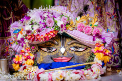Daily Darshan