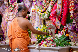 Daily Darshan