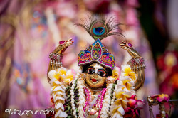 Daily Darshan