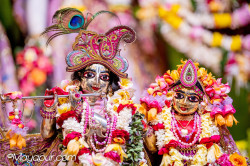 Daily Darshan