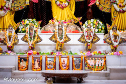 Daily Darshan