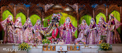 Daily Darshan
