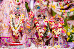 Daily Darshan