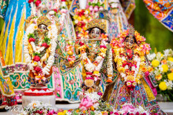 Daily Darshan