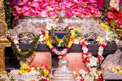 Daily Darshan