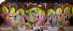Daily Darshan