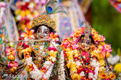 Daily Darshan
