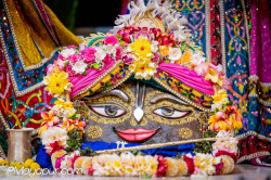Daily Darshan