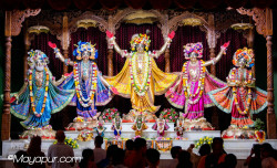 Daily Darshan