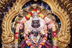 Daily Darshan