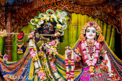 Daily Darshan