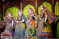 Daily Darshan
