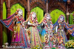 Daily Darshan