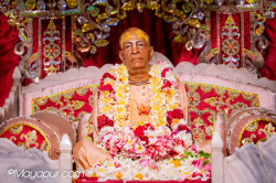 Daily Darshan