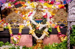 Daily Darshan