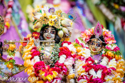 Daily Darshan