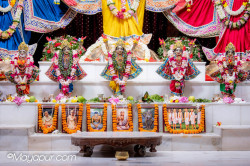 Daily Darshan