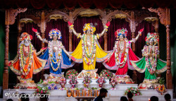 Daily Darshan