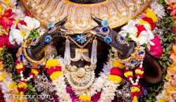 Daily Darshan