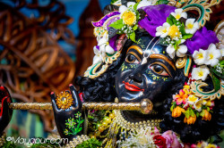 Daily Darshan