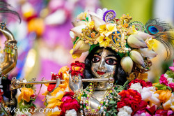Daily Darshan