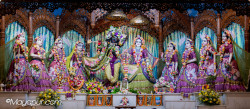 Daily Darshan