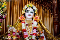 Daily Darshan