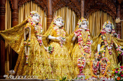 Daily Darshan