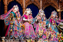 Daily Darshan