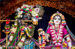 Daily Darshan