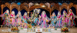 Daily Darshan