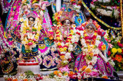 Daily Darshan