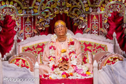 Daily Darshan