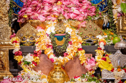 Daily Darshan