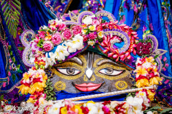 Daily Darshan